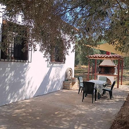 The Small House In The Olive Grove เลโฟกาสโตร ภายนอก รูปภาพ