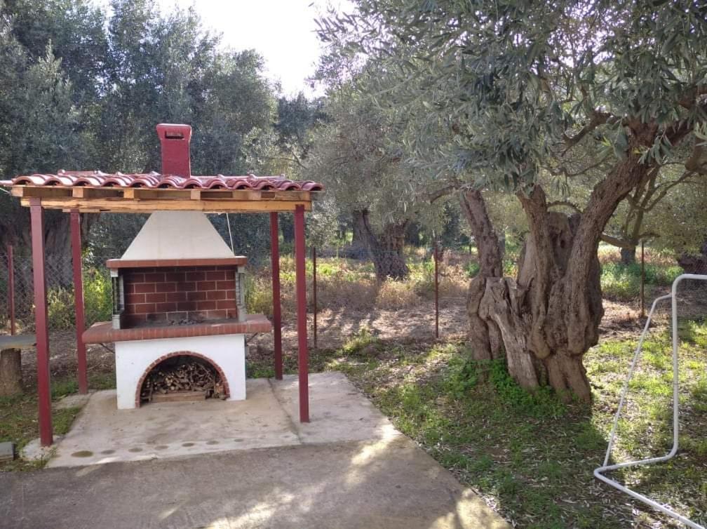 The Small House In The Olive Grove เลโฟกาสโตร ภายนอก รูปภาพ