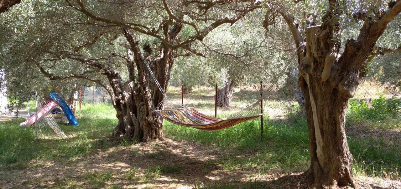 The Small House In The Olive Grove เลโฟกาสโตร ภายนอก รูปภาพ