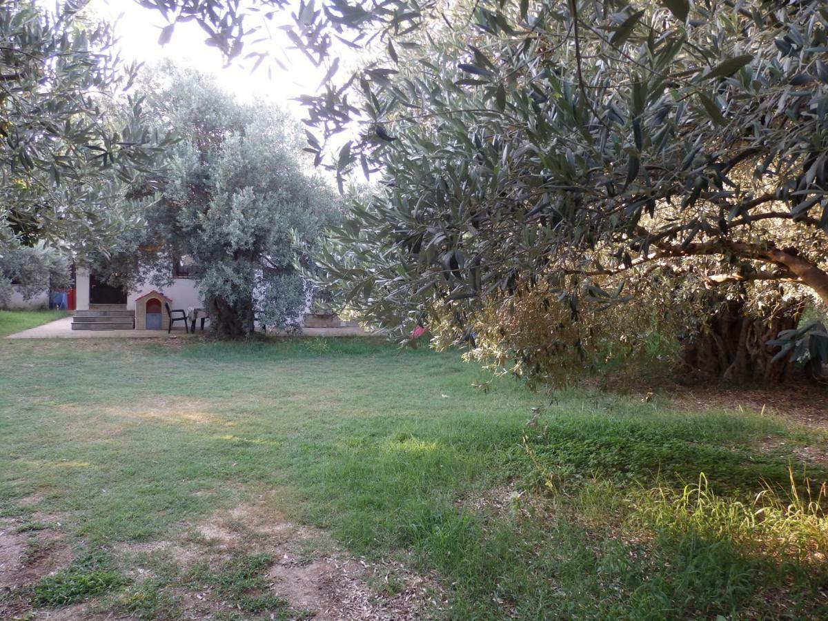The Small House In The Olive Grove เลโฟกาสโตร ภายนอก รูปภาพ
