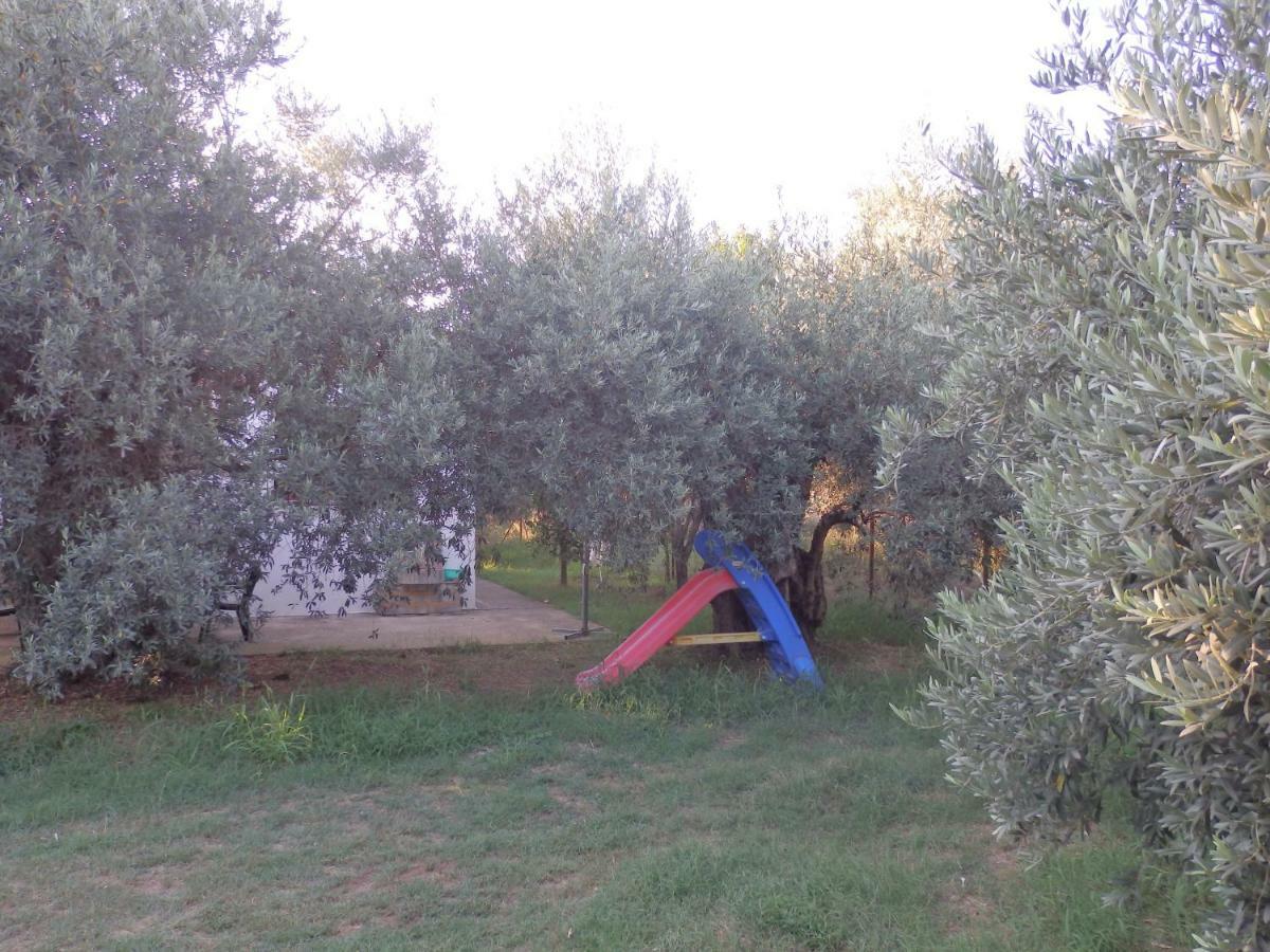 The Small House In The Olive Grove เลโฟกาสโตร ภายนอก รูปภาพ