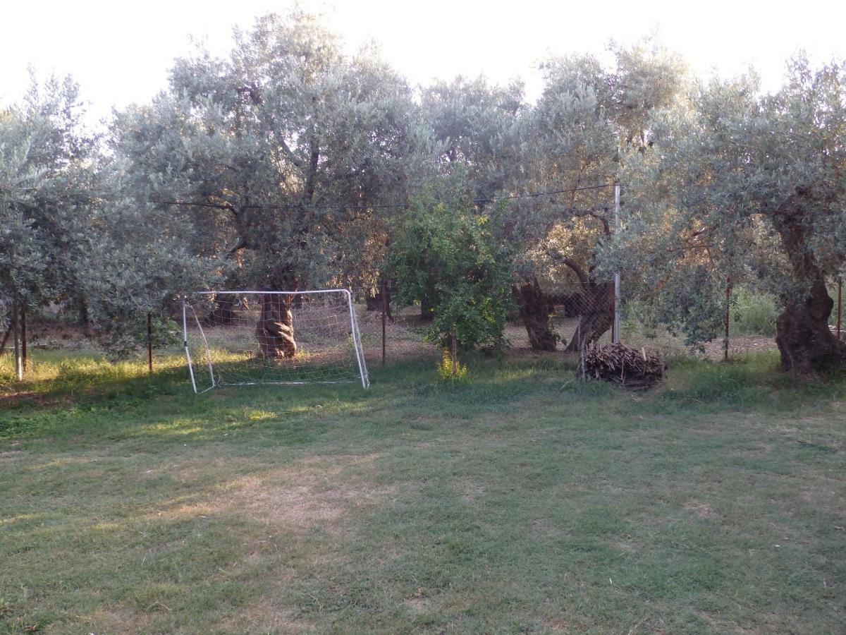 The Small House In The Olive Grove เลโฟกาสโตร ภายนอก รูปภาพ
