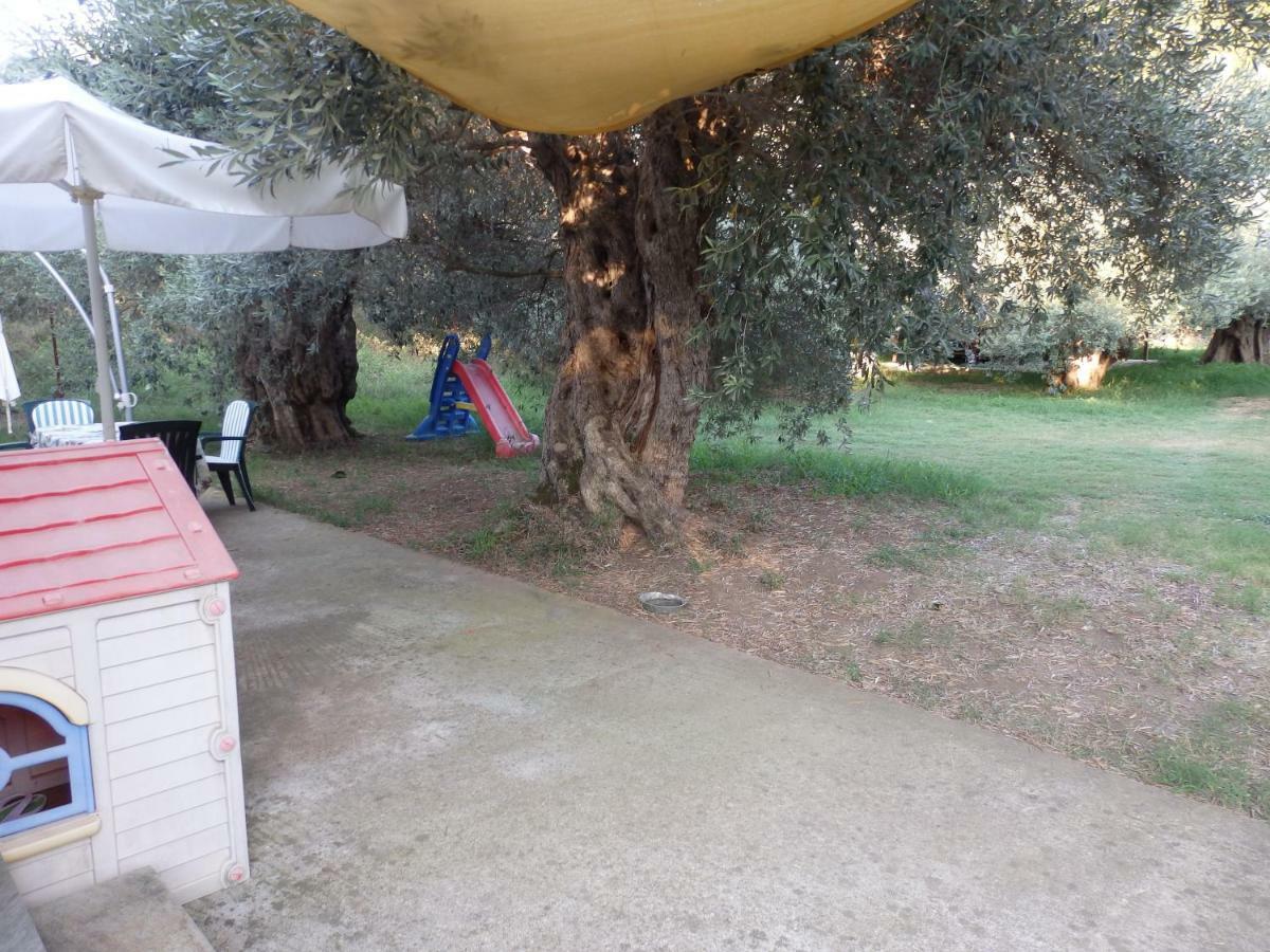 The Small House In The Olive Grove เลโฟกาสโตร ภายนอก รูปภาพ