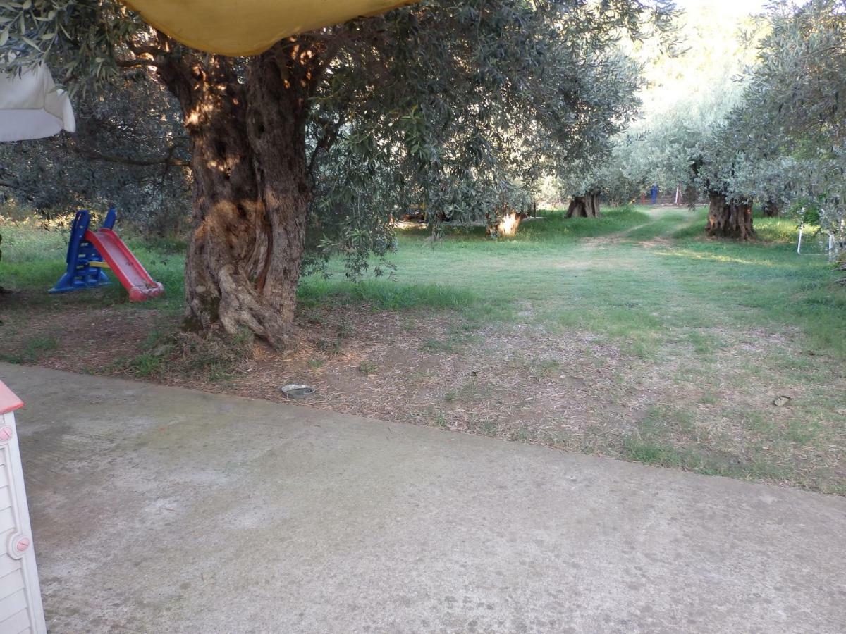 The Small House In The Olive Grove เลโฟกาสโตร ภายนอก รูปภาพ